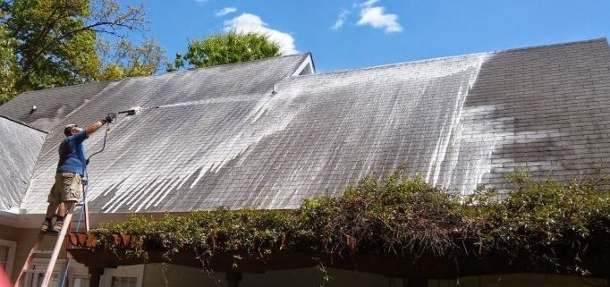 Roof Soft Washing