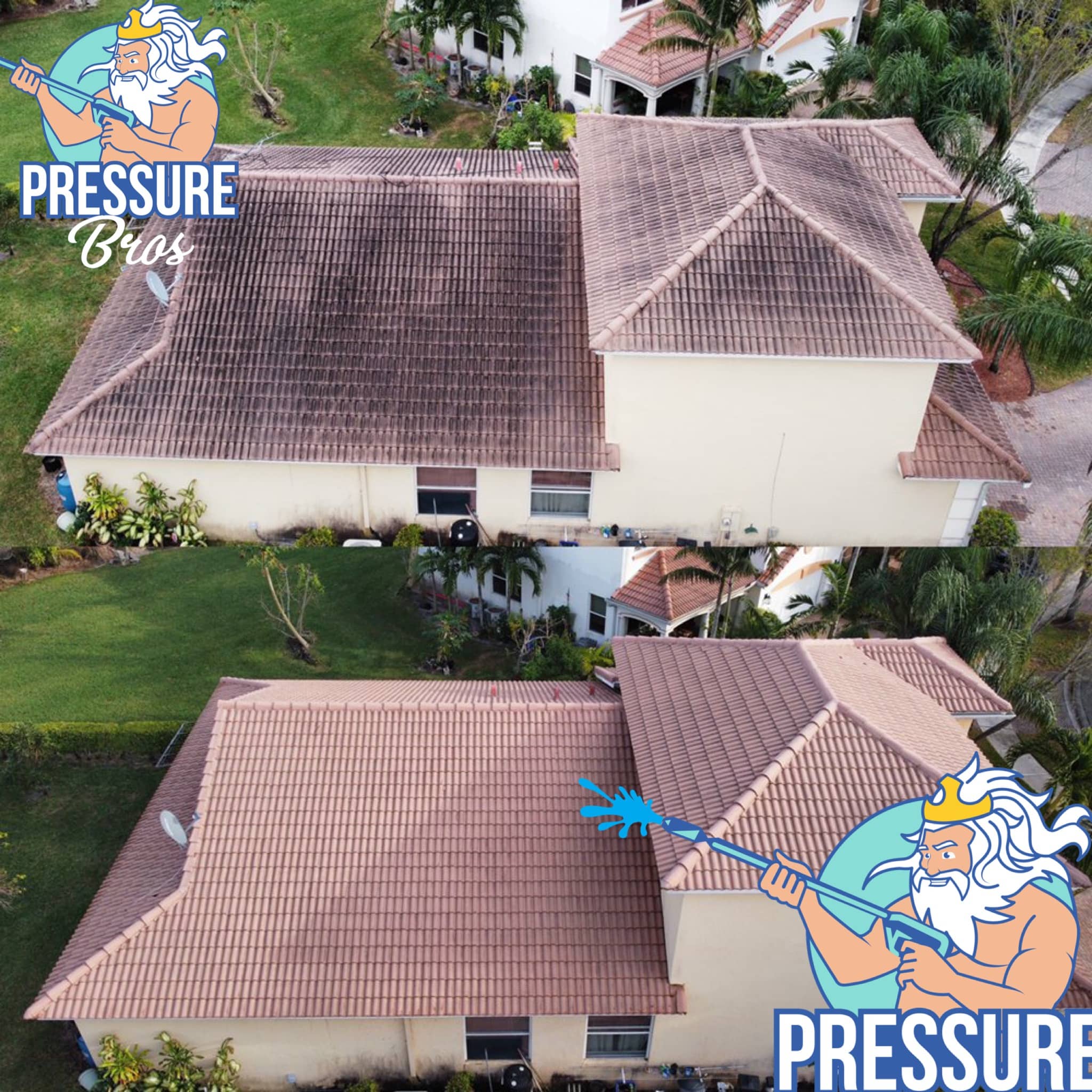 Roof Cleaning Near Me